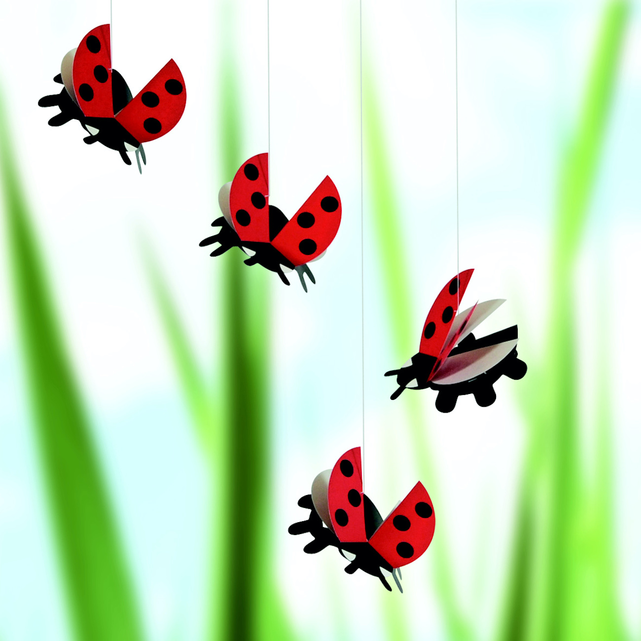 Kinet Lady Bird